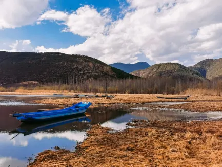 Winning Kasyno Aplikacja mobilna
